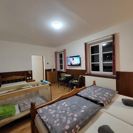 Pension Pod Lipou Nova Ves v Horach Buitenkant foto