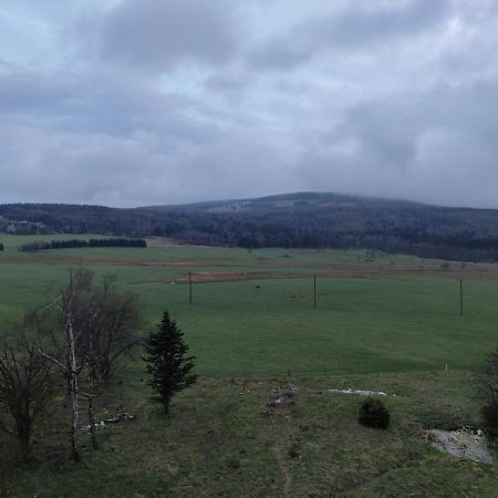 Pension Pod Lipou Nova Ves v Horach Buitenkant foto