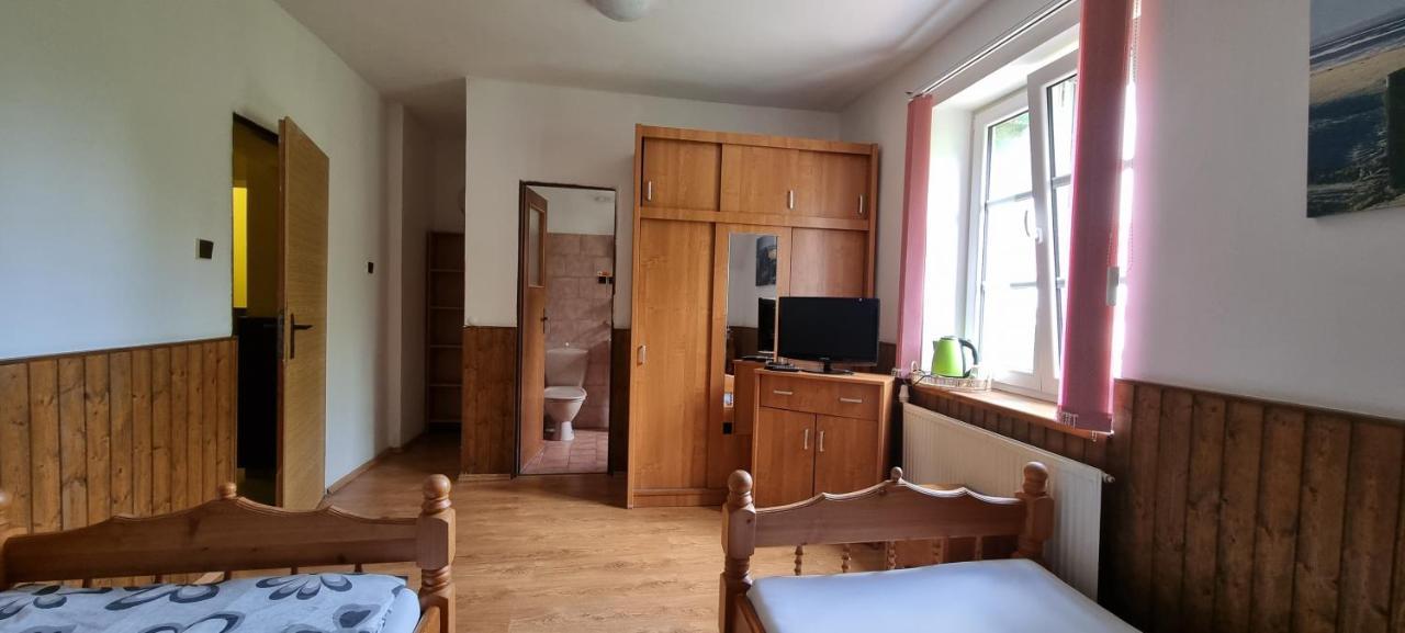 Pension Pod Lipou Nova Ves v Horach Buitenkant foto