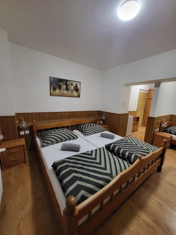 Pension Pod Lipou Nova Ves v Horach Buitenkant foto