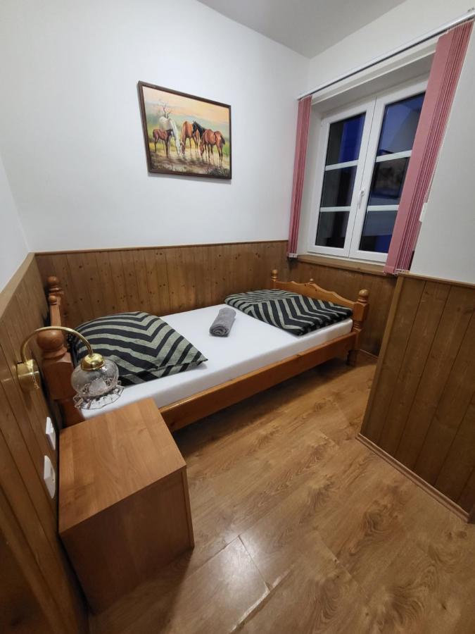 Pension Pod Lipou Nova Ves v Horach Buitenkant foto