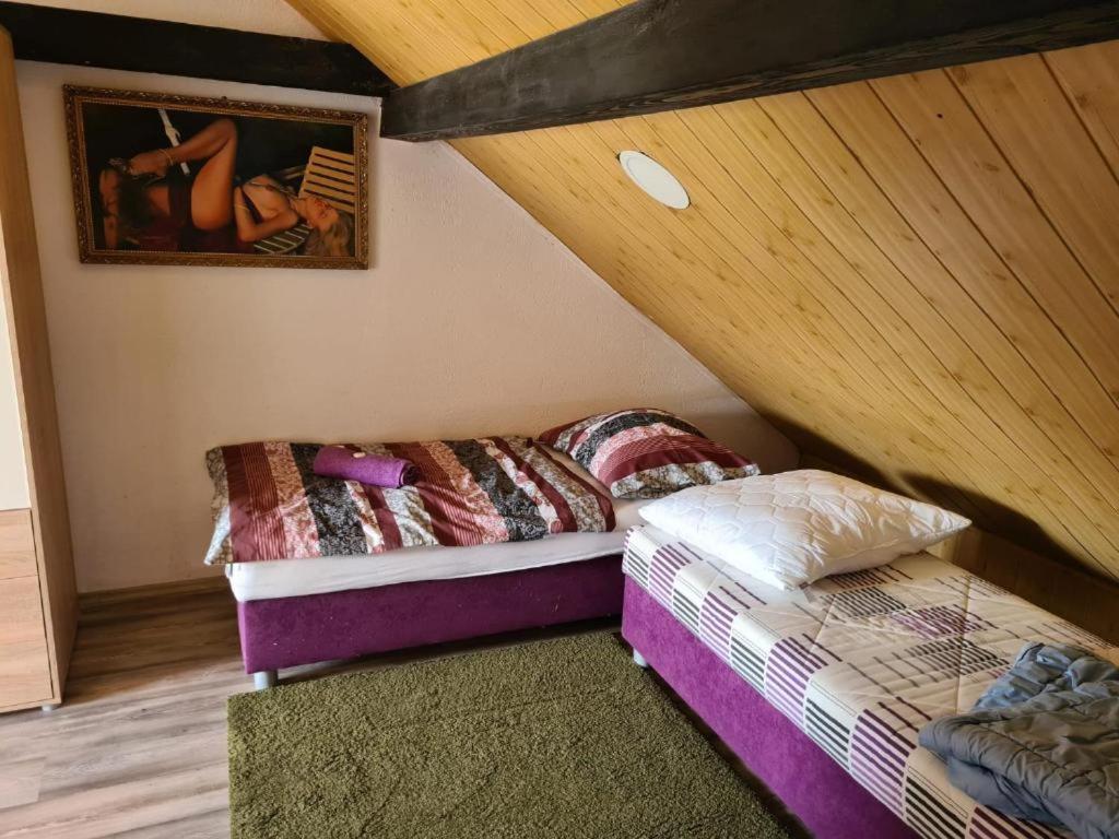 Pension Pod Lipou Nova Ves v Horach Buitenkant foto