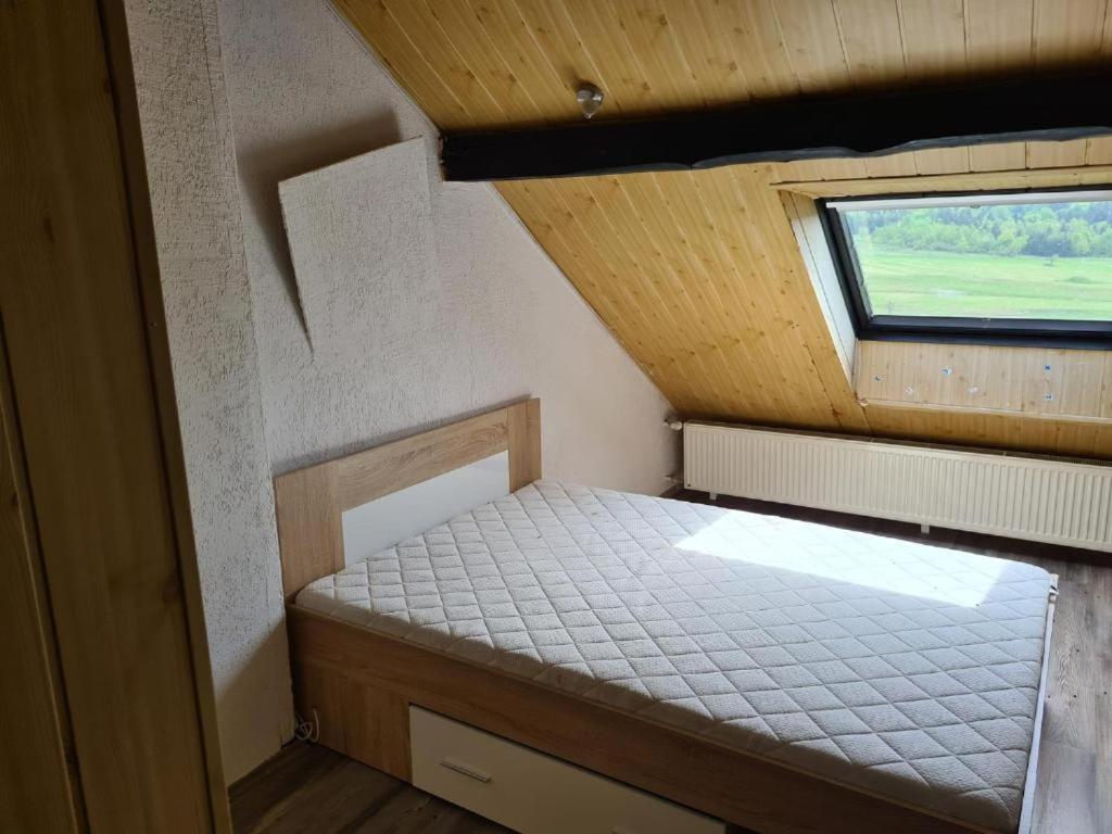 Pension Pod Lipou Nova Ves v Horach Buitenkant foto